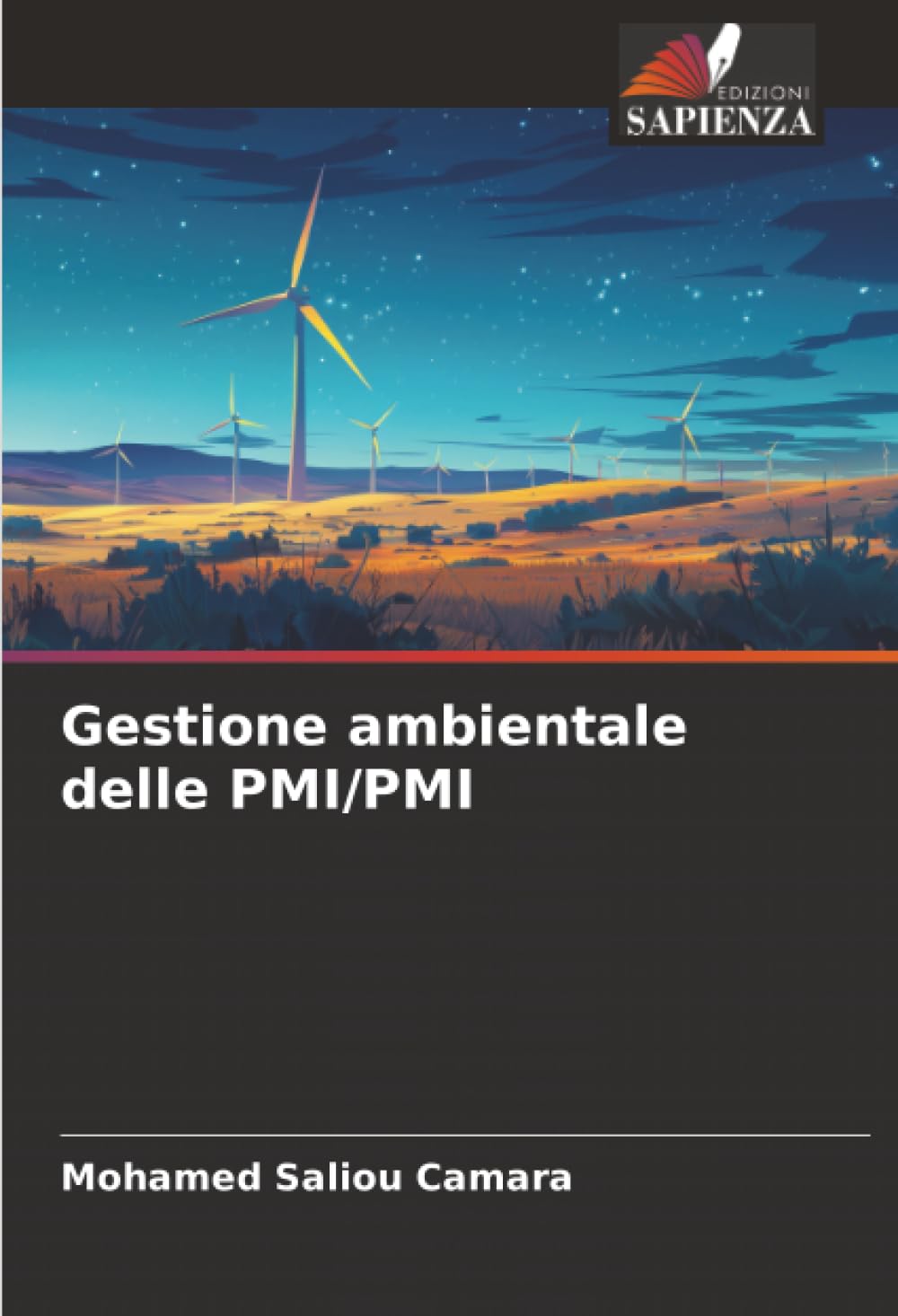 Gestione ambientale delle PMI/PMI