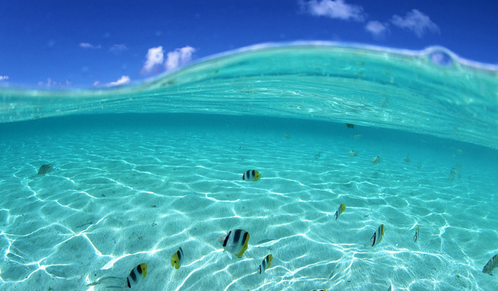 Summer Beach Live wallpaper - App on Amazon Appstore