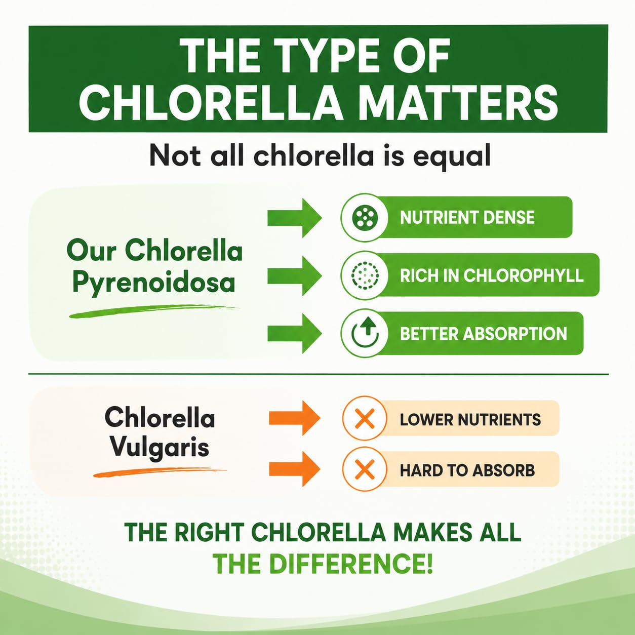 Chlorella Capsules 3000 mg - Cracked Cell Wall Blue Green Algae Supplement - Best Natural Detox Cleanse - Plant Vitamins Minerals Chlorophyll Vegan Protein Powder Pills - Made in USA — Amazon image 7