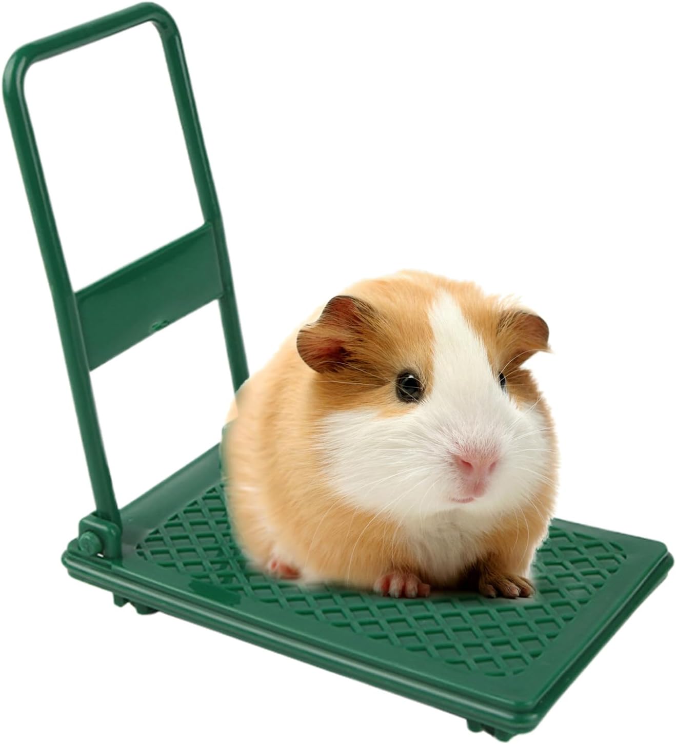 Spielzeug für Hamster, lustige Dekoration, Wagen mit Rädern, Hamsterzubehör, für Nager, Kleintiere, Haustiere, Kinder, Heimkäfig, Foto-Requisiten