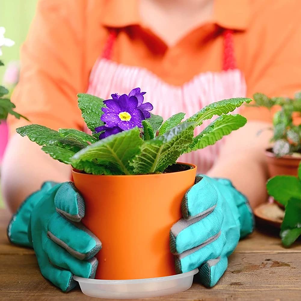 UltraOutlet Lot De 20 Soucoupes En Plastique Transparent De 25,4 Cm Pour Pots De Fleurs D'intérieur Et Jardinières, En Vrac