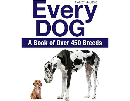 All About Dog Breeds From A to Z: The Ultimate Guide with Pictures