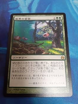 Amazon.co.jp: mtg 風景の変容 日本語 : おもちゃ