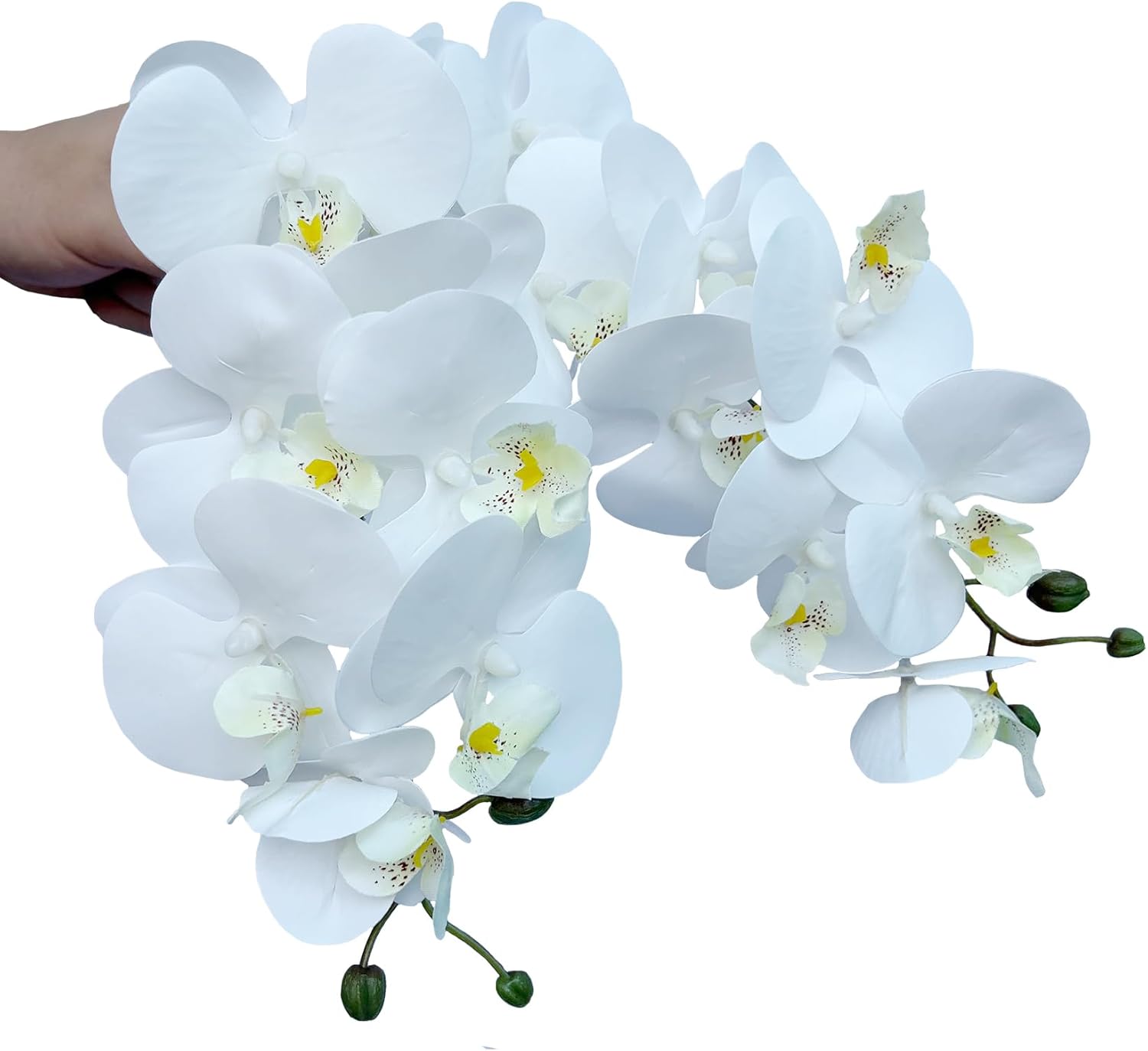 FagusHome 8 Pcs Artificial Phalaenopsis Flowers 32 Inch Artificial Orchid Flowers Fake Flowers Stem Plants for Home Décor (White)