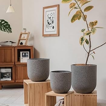 ガーデニング　鉢　テラコッタ Amazon.co.jp: Angoily 10個 セラミック植物ポット テラコッタの