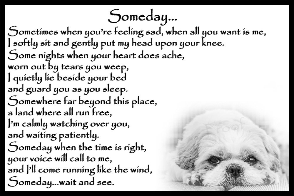 Shih Tzu Memorial Dog Bereavement pet Loss Flexible Fridge Magnet - Someday