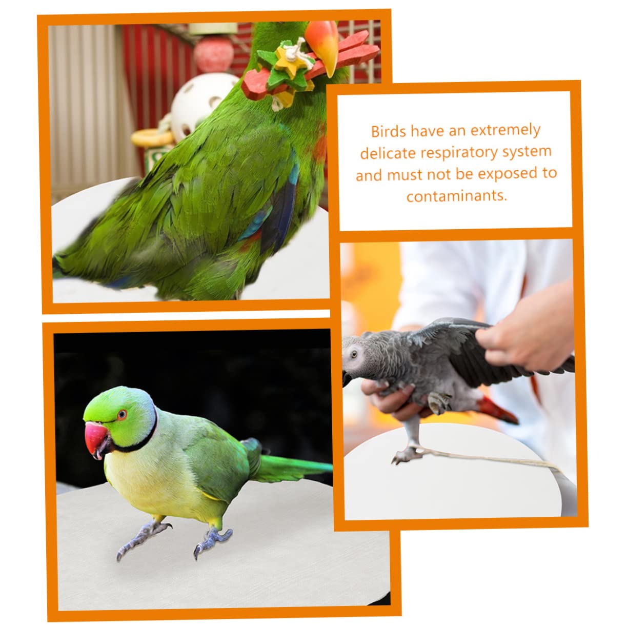 Mipcase 100piezas Desechables Forro para Jaulas De Pájaros Redondo Absorbente para Orina Uso Fondo De Jaula De Pájaros