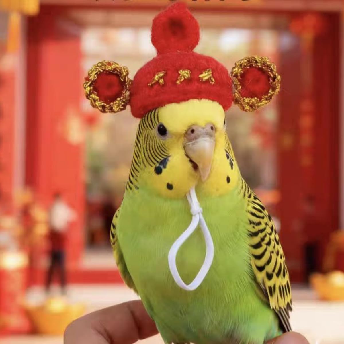 12Pcs Hamster Hats Mini Hats for Snakes Small Animals Hamster Clothes for Lizards Bearded Dragons Parrots Sugar Gliders Holiday Party Costume Accessories