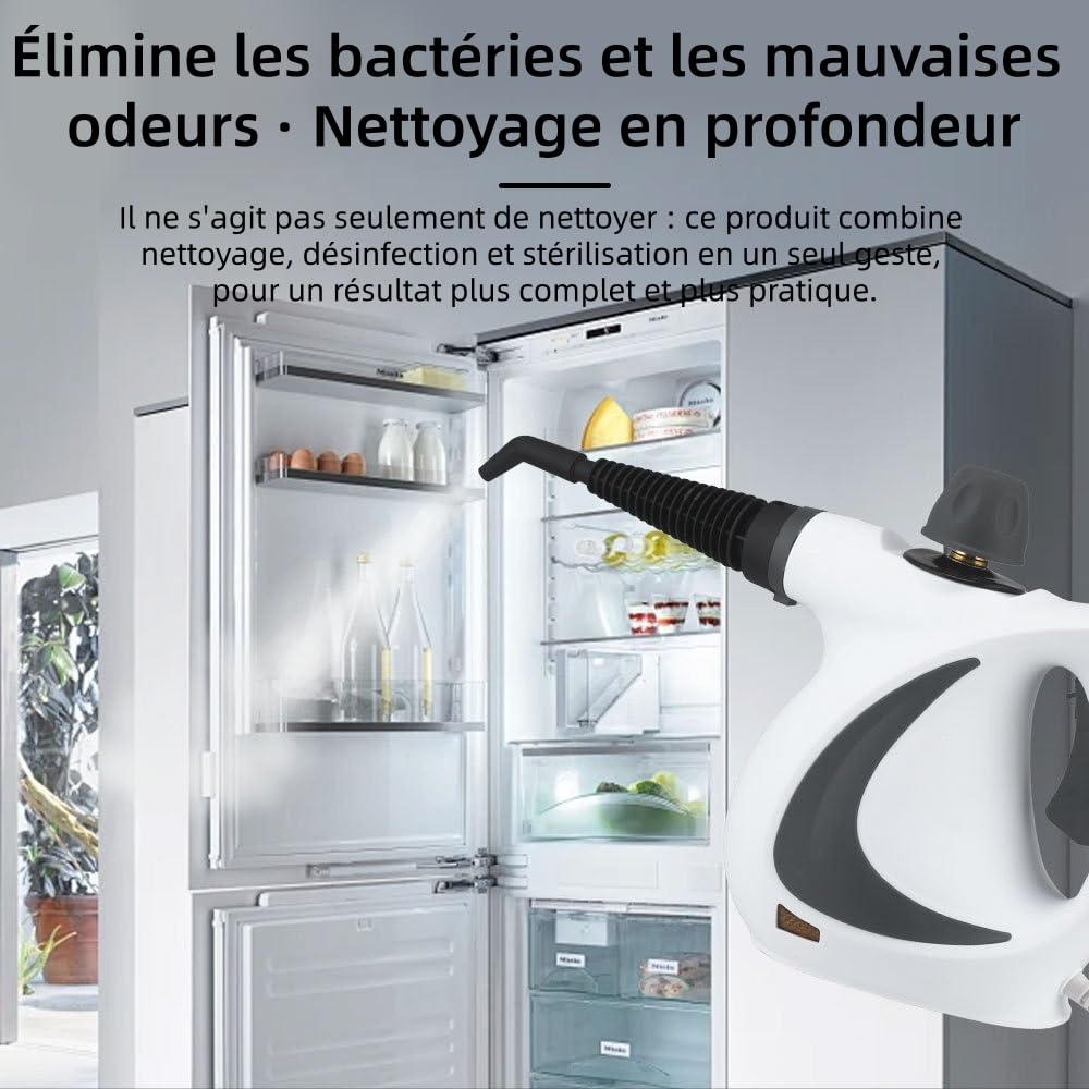 Nettoyeur Vapeur Steameo avec 9 Accessoires,Pratique, nettoyage en profondeur - Nettoyage Domestique Rapide pour Sols, Vitres, Tapis
