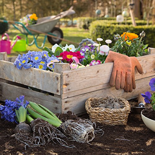 Pure Garden 82-Vy021 Garden Cart Scooter With Seat, 17.5X19, Midnight #TOP4