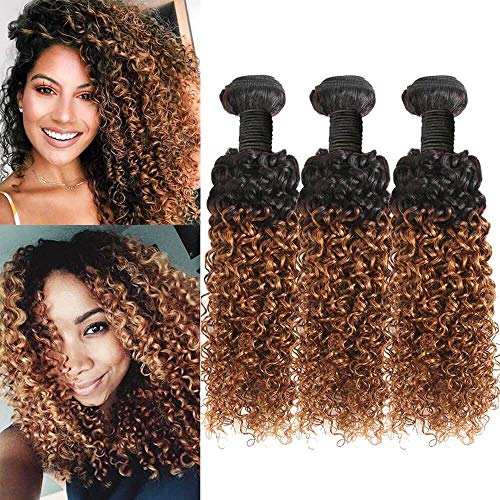 YWJH 9A Brazilian Ombre 2 Tone Hair 3 Bundles Brown Kinky Curly Bundles Virgin Hair T1B/30 Color Soft 100% Unprocessed Human Hair Extensions 14"16"18" Inch