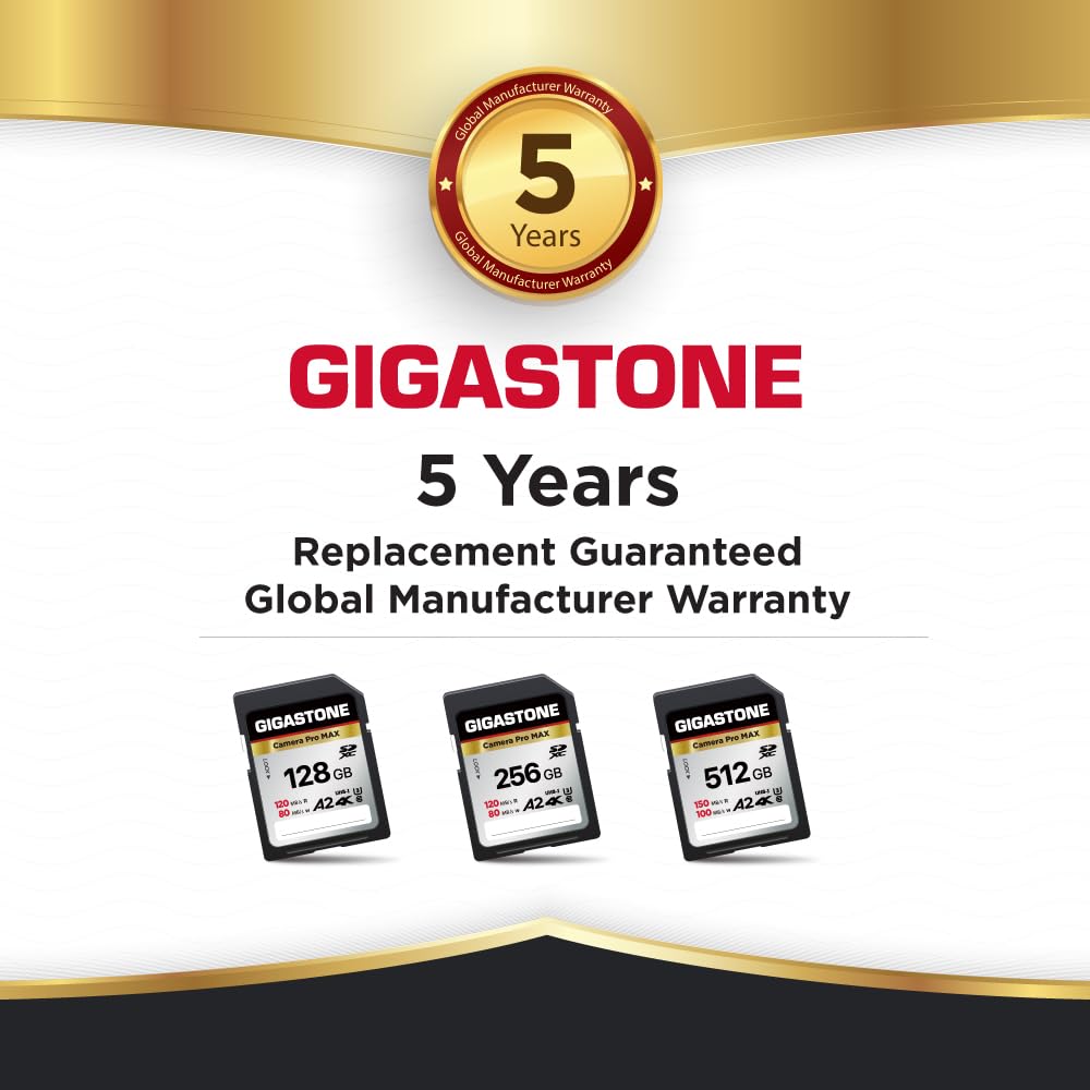 Gigastone A2 V60 Karta pamięci SDXC 256 GB, 4K Pro Seryjny Camera, Prędkość 120 MB/s. Kompatybilny z Canon Nikon Sony Panasonic, U3 UHS-I Class 10 dla 4K UHD Wideo, z 1 Mini etui