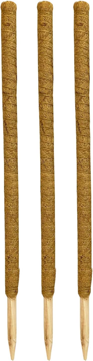 Coco Fibre Coir Palm Stick Garden Plant Pot Supports (80cm) Pack of 3