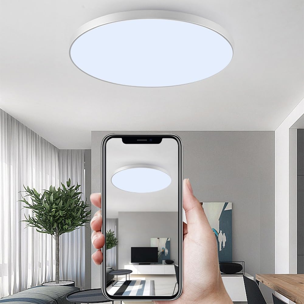 Mengjay LED Deckenleuchte Dimmbar,30W Deckenlampe Flach Rund,3000K/4000K/6000K 3Farben LED Lampen Deckenlampen,IP44 Wasserfest Badezimmer Lampe Küchenlampen,Modern Ultraslim Led Panel (Silber, 56W)