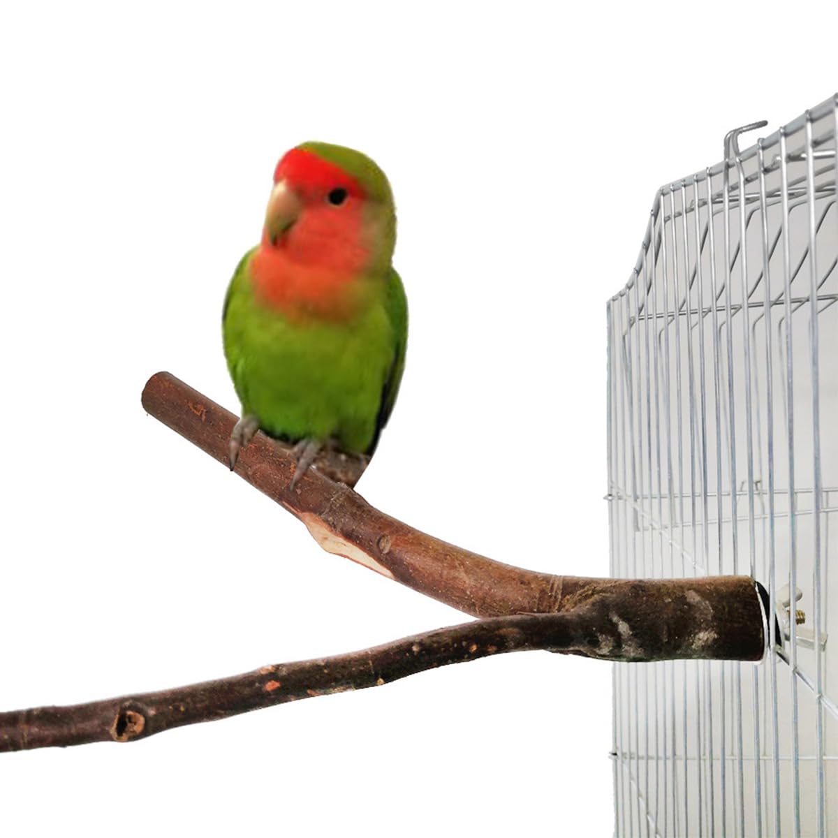 ZONADAH Parrot Perch Natural Y Shape Perch 20cm Bird Swing Birds Stand Grinding Paw Climbing Wood Cage Accessories for Parakeet Cockatiels Budgies Conure Lovebirds Thickness 1-2.5cm - Image 4