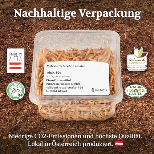 Amprosia Mehlwürmer lebend, Eiweißreiches Futter und Leckerbissen für Reptilien, Amphibien, insektenfressende Haustiere und Vogelfutter, Würmer Snack für Haustiere 50g, Lebende