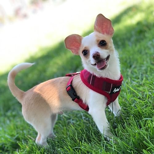 Miniatura 7 de Arnés de malla suave para perro, chaleco acolchado cómodo para cachorros, sin arneses incómodos