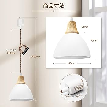 Amazon.co.jp : DiCUNO ペンダントライト ダクトレール用 LED一