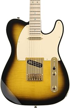 ギター Fender TELECASTER Amazon.com: Fender Artist Series 255202532 Richie Kotzen