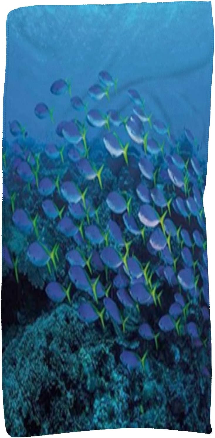 GULTMEE Fish, Bath Towels/Hand Towels/Washcloths,Schools of Fish,Bathroom Towels|Soft & Absorbent Towels for Bathroom,Blue