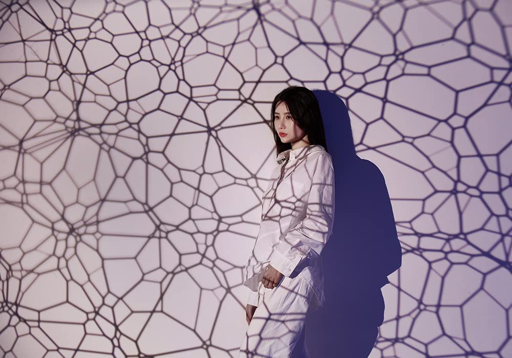 Godox AK-S Full Slide Set for AK-R21 Projector Flash Splitting Cone Nose Optical Spotter GOBO Slide Set