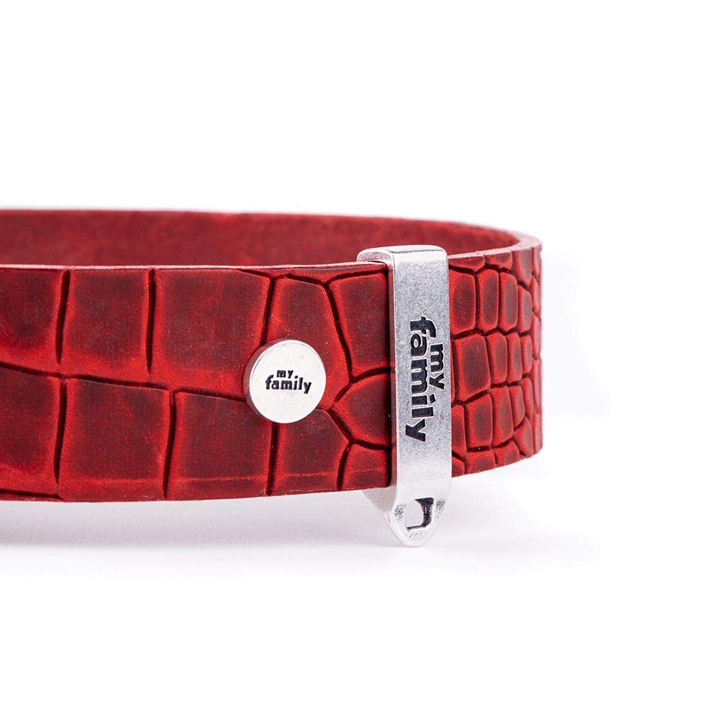 MyFamily Adjustable Dog Collar in Genuine Italian Made Leather, Antique Silver Metallic Finish, Comfortable and Durable, Handmade, Tucson Collection