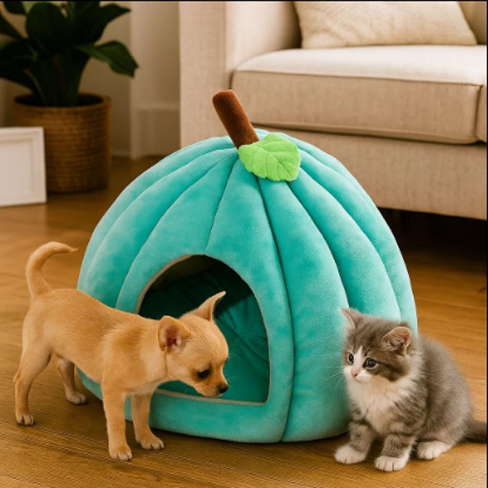 Halloween-Katzenhaus, süßes Kürbis-Haustierbett, Katzenbett für drinnen mit herausnehmbarer Matte, Kürbis-Katzenhöhle, Hundebett für Hauskatzen und kleine Hunde