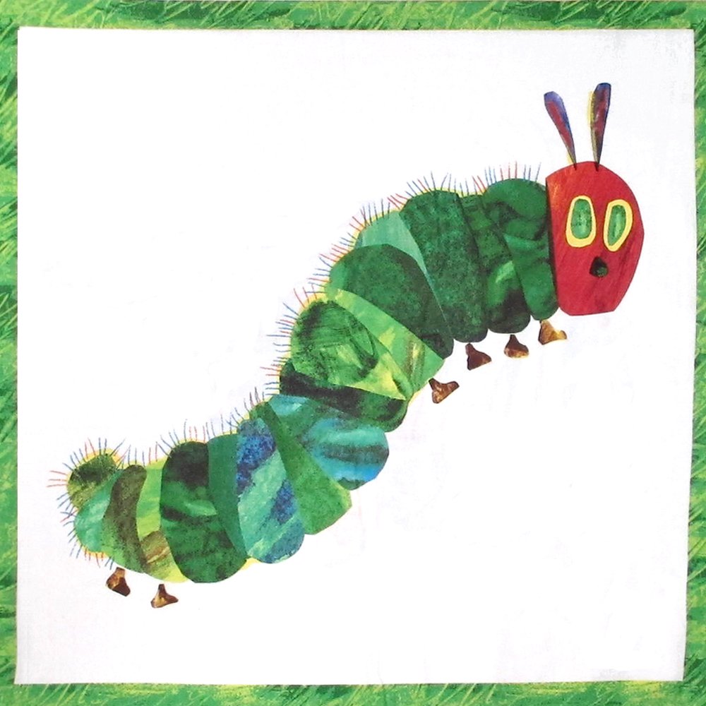 ANDOVER"The Very Hungry Caterpillar" METAMORPHOSIS Panel A-5280-M Eric Carle