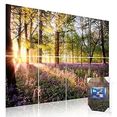 Mollywell Art Acoustic Panels, 48x32 in, Forest Spring