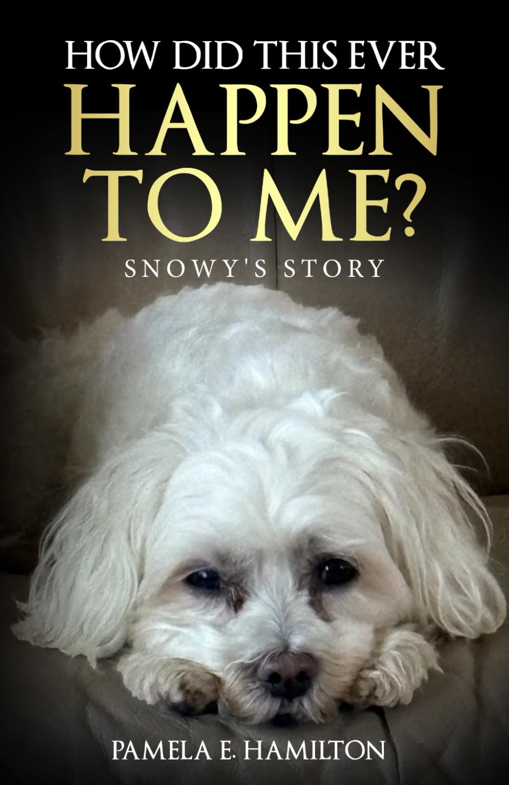 How Did This Ever Happen to Me?: Snowy's Story