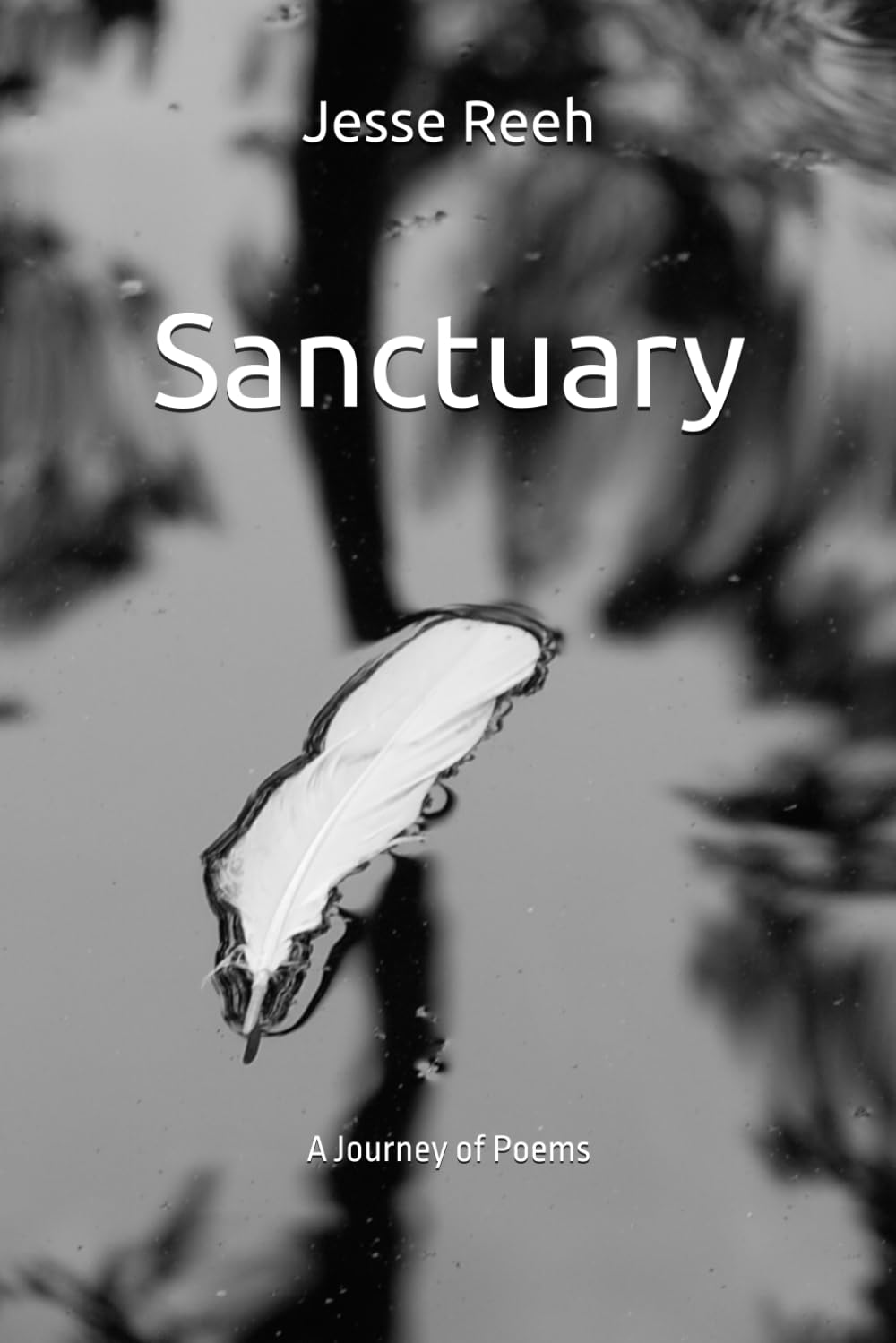 Sanctuary: A Collection of Poetry (Exposed)