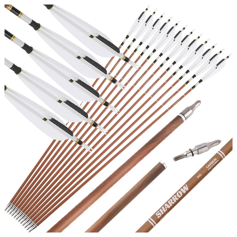 Flèches Archery 31 Pouces en Carbone Pur, 12 pièces, Spine 340, 400, 500, 600, diamètre de la Tige 6,2 mm, Pointe de flèche 100 Grains, Plumes Naturelles