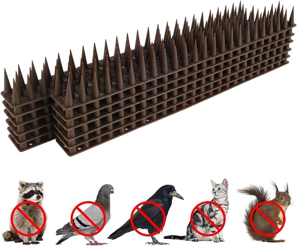 Amazon.co.uk bird spikes