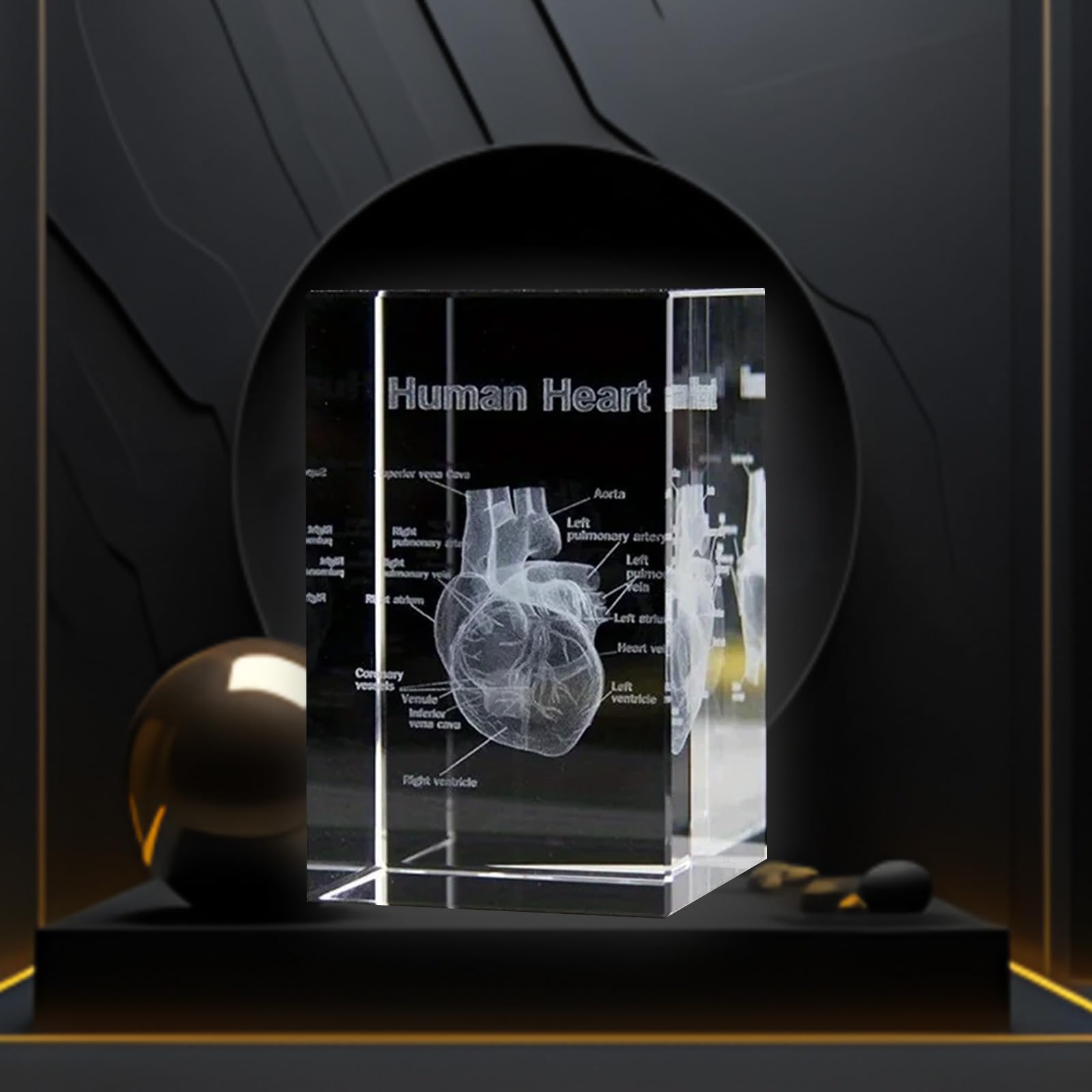 Ensemble de modèles anatomiques en cristal 3D, Représentation 3D de cœur gravée avec précisionpour médecine et design