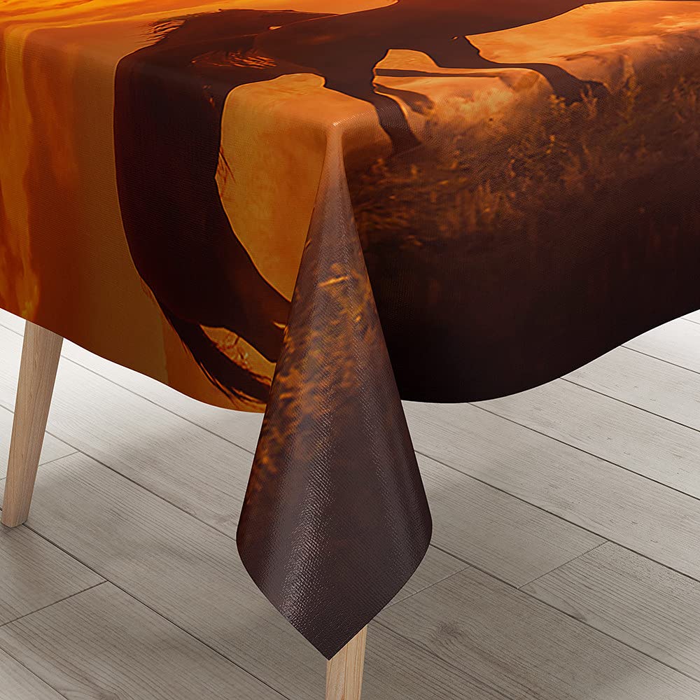 FANSU Nappe Rectangulaire Anti Tache, 3D Cheval Nappe De