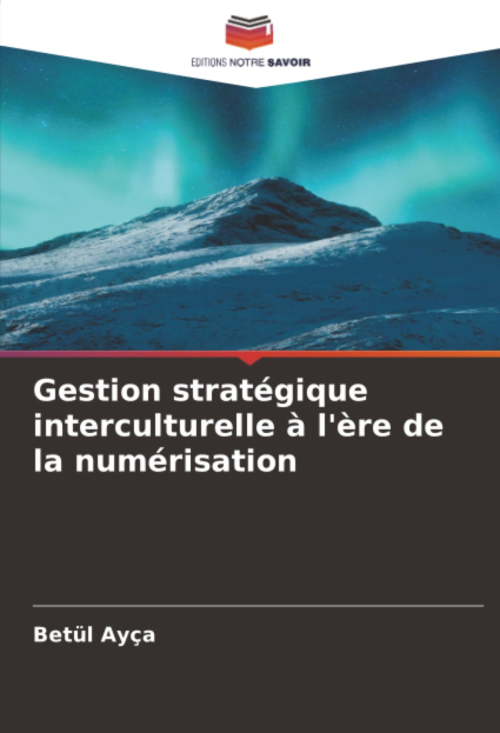 Gestion stratégique interculturelle à l'ère de la numérisation