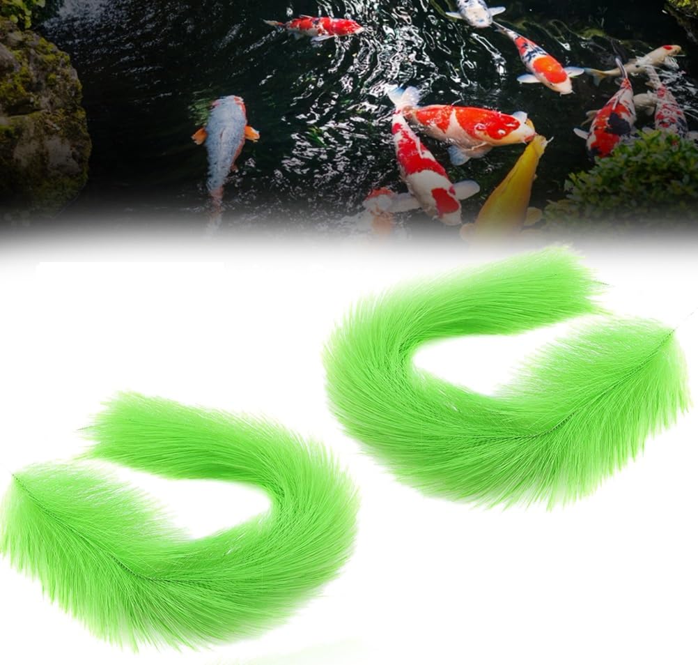 ［確認用］水生植物　苗 確認用］水生植物 苗