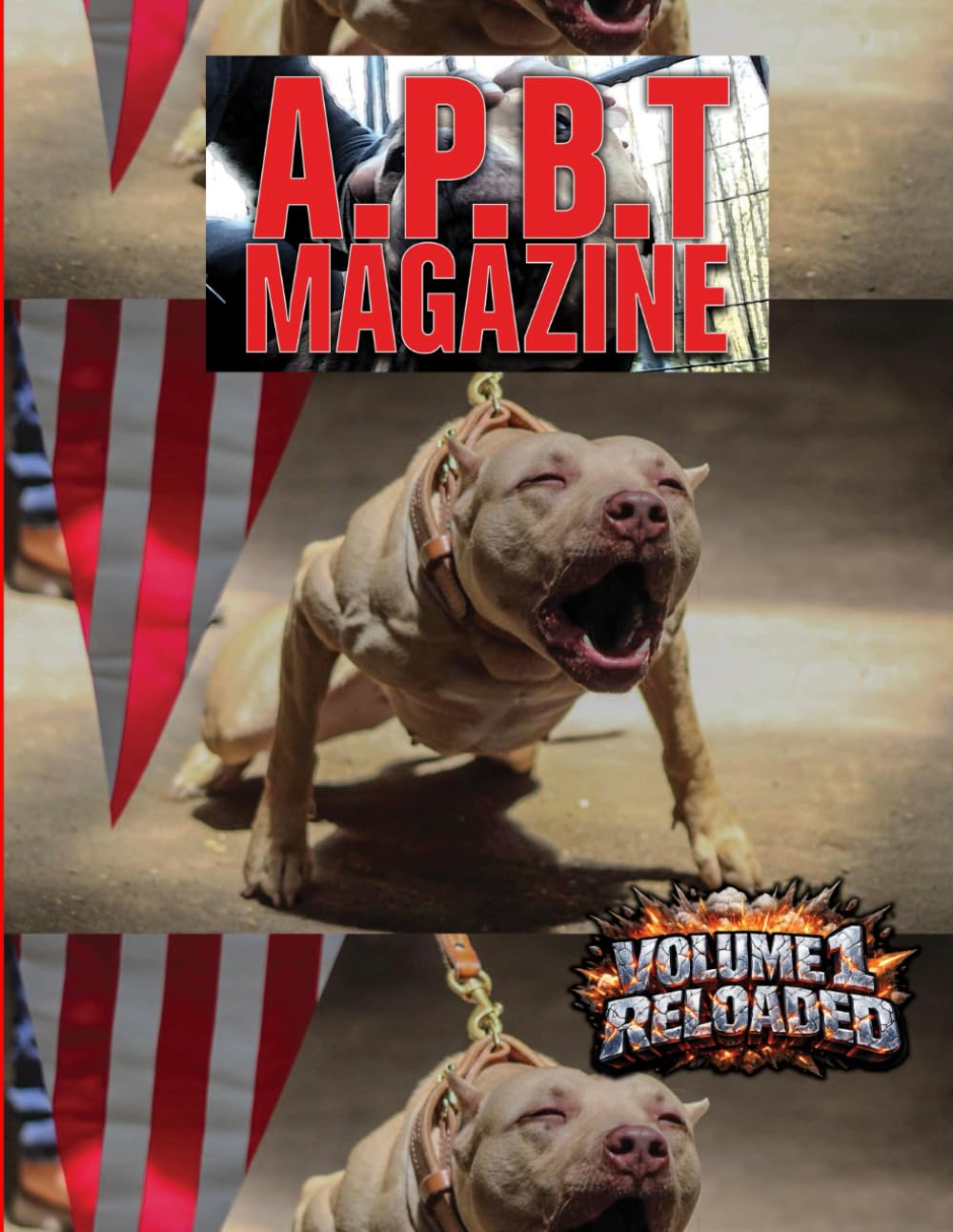 APBT Magazine — Volume 1 Reloaded: A collector’s edition celebrating the dogs, bloodlines, stories, and legacy of the American Pit Bull Terrier community.