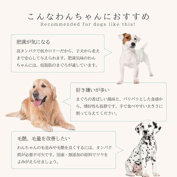 定番最新品 犬猫用スナック 犬猫用 まぐろカマスライス 超お徳用 の通販はau Pay マーケット コムネット Au Pay マー ねこ ペットフード いぬ 日本製 きはだまぐろ おやつ かまぼこ フジサワ 国産 好評日本製 Www Dentistryventura Com 定番最新品 犬猫用スナック 犬猫用 まぐろカマスライス 超お徳用 の通販はau Pay マーケット コムネット Au Pay マー ねこ ペットフード いぬ 日本製 きはだまぐろ おやつ かまぼこ フジサワ 国産 好評日本製 Www Dentistryventura Com