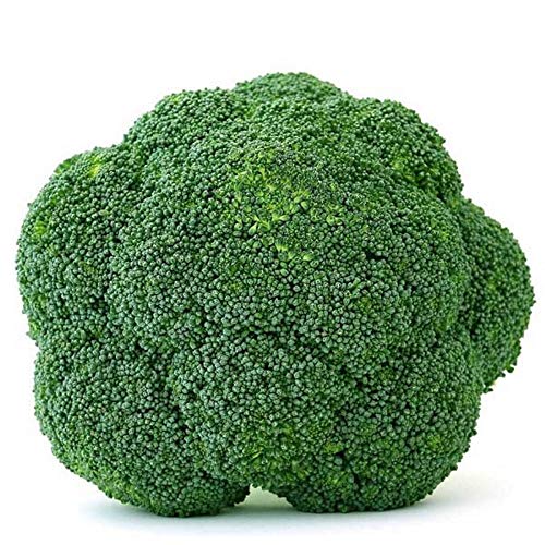 Goliath Heirloom Broccoli Seeds - A Vigorous Italian Heirloom Broccoli with Large Head (25)