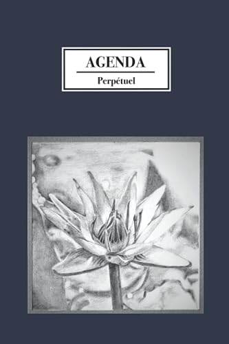 Agenda perpétuel: 185 pages du 1er janvier au 31 décembre - 2 jours par pages - format 6 x 9 po ( 15.24 x 22.86 cm )
