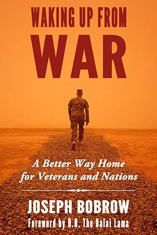 Waking Up From War book cover
