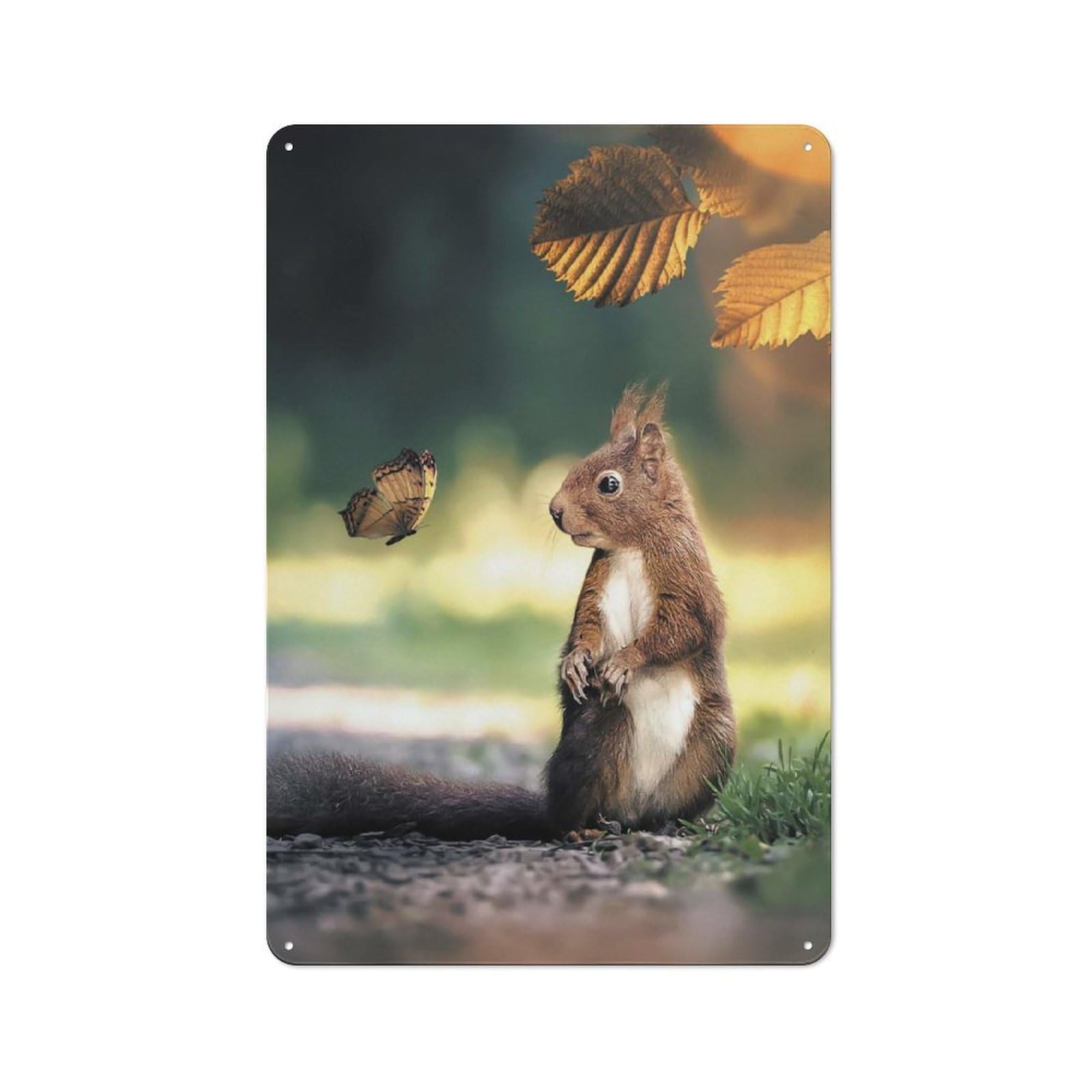 Junmoney Style-6 Tin Wall Plaque 30X20cm With The Squirrel And Butterfly For Workshop Wall, Housewarming Wall Decor For People Furnishing Workshop