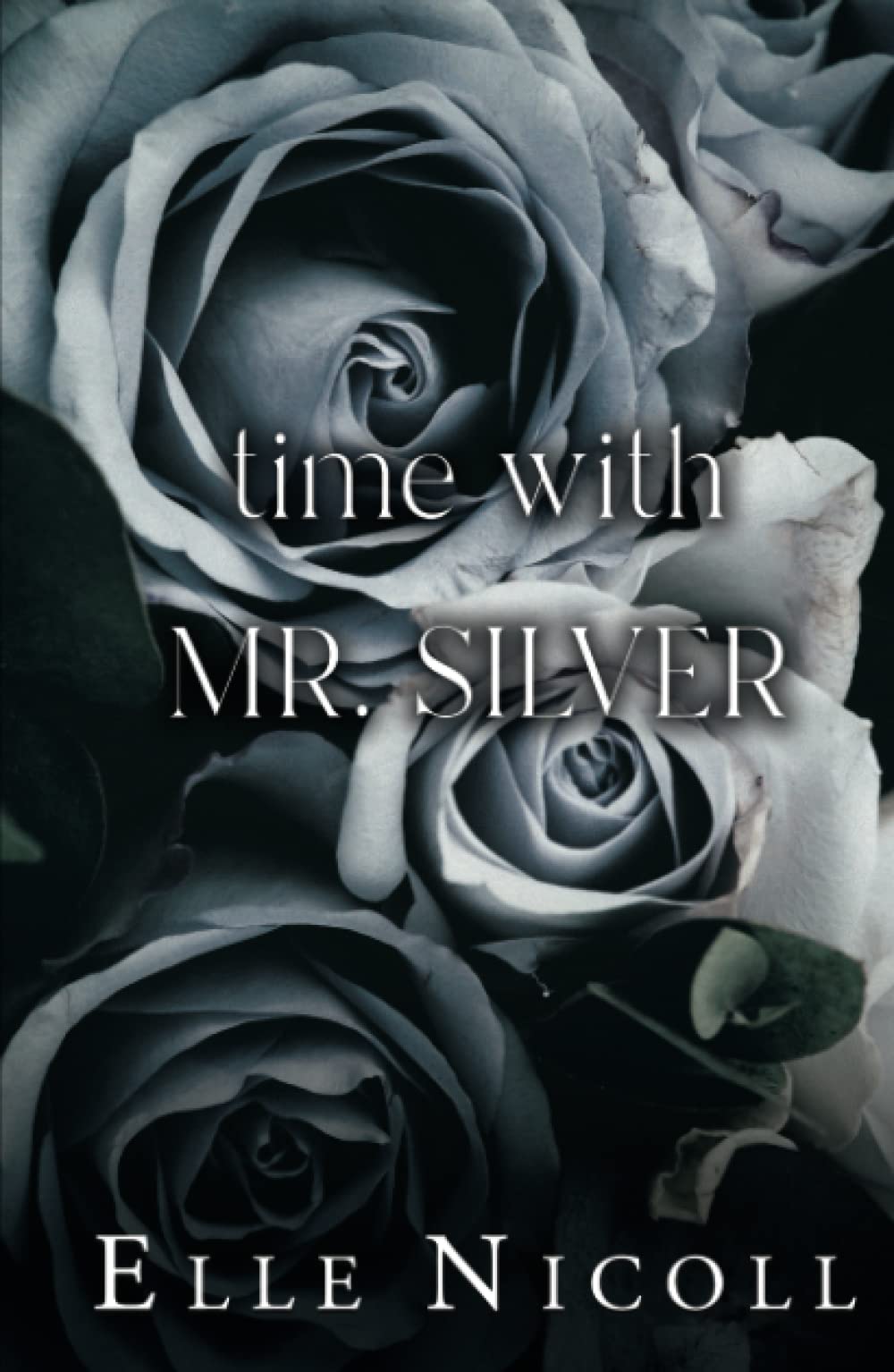 Time with Mr. Silver: A forced proximity steamy romance (The Men Series - Interconnected Standalone Romances)