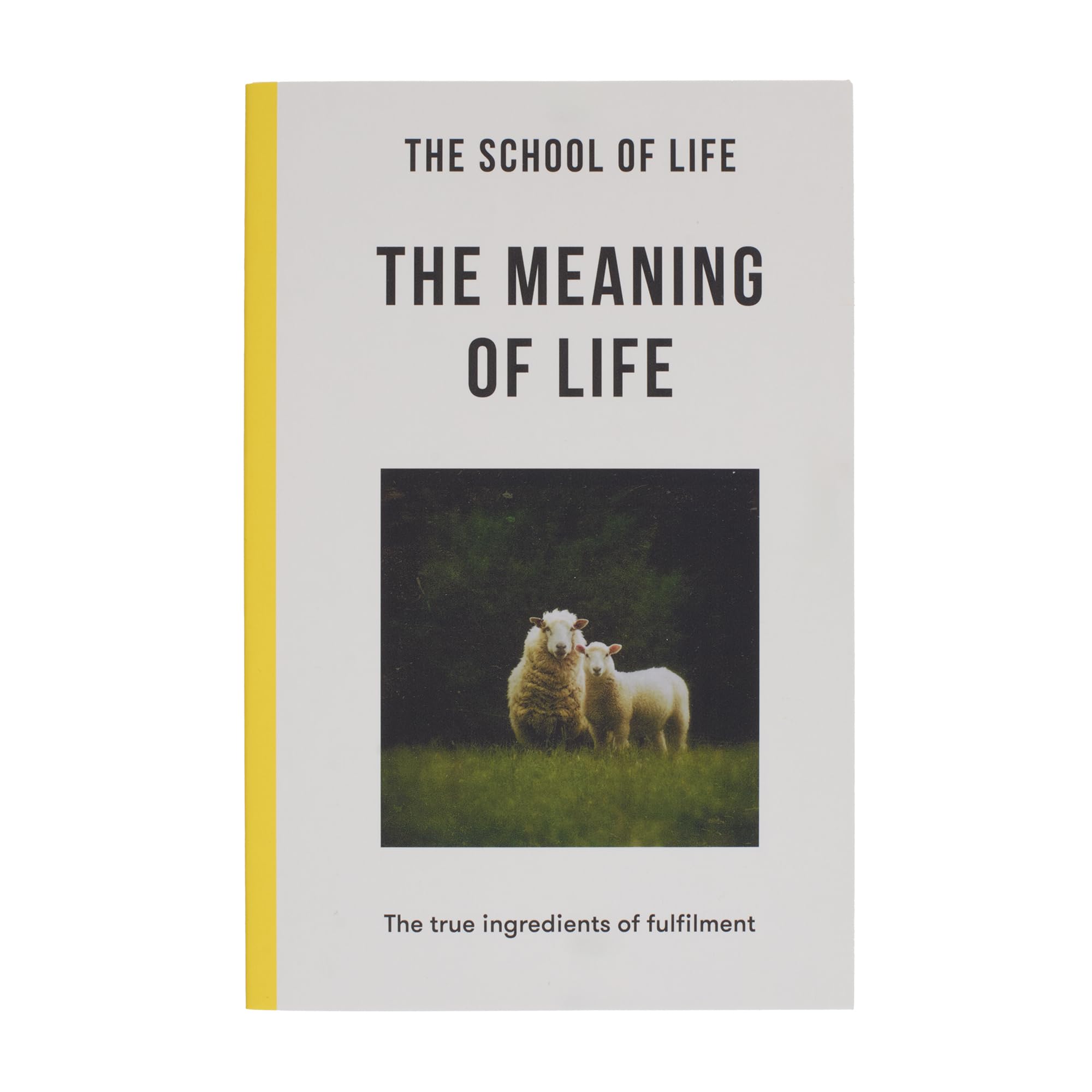 The Meaning of Life: the true ingredients of fulfilment