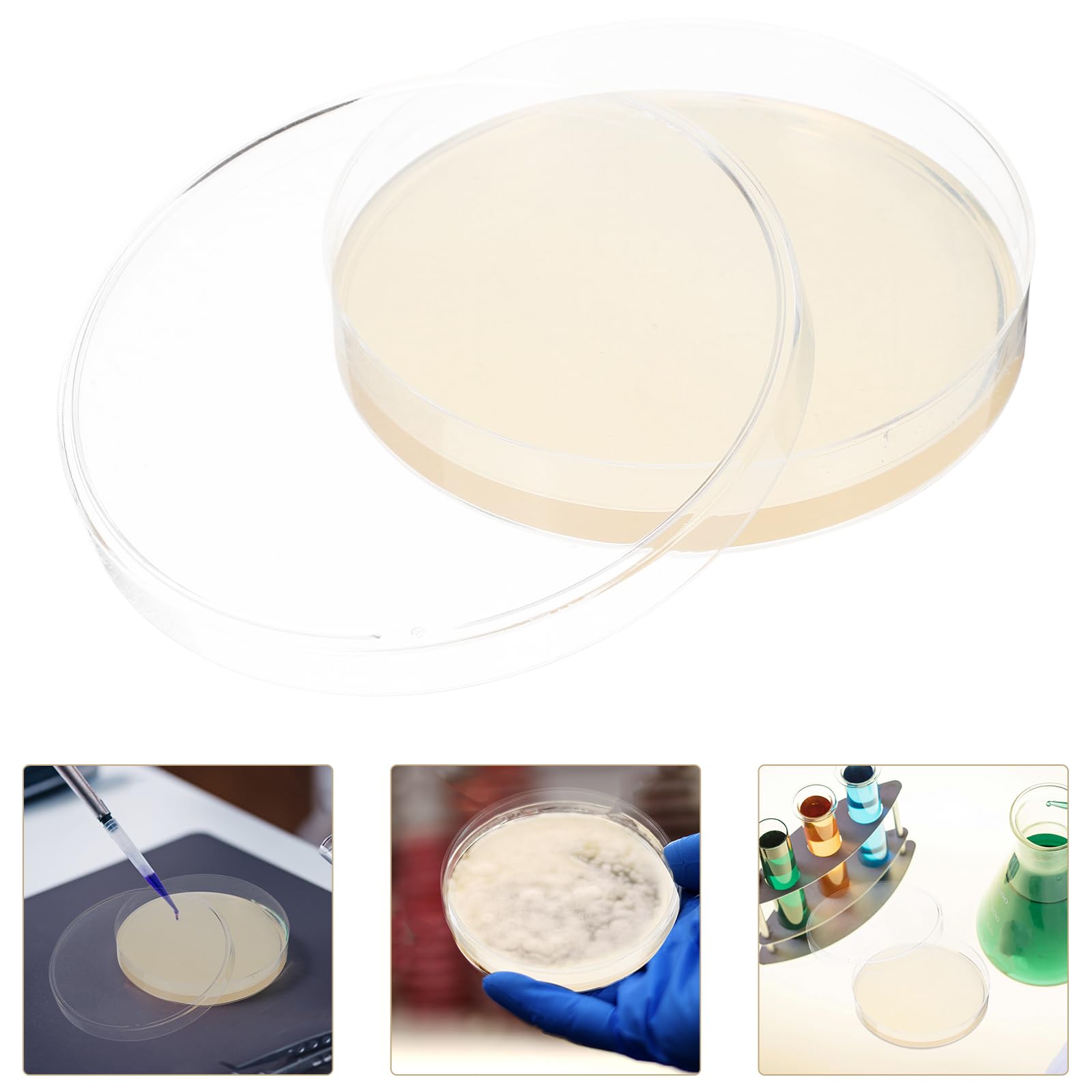 UKCOCO Placas De Agar Desechables Envasado Al Vacío 3.54X3.54X0.59In Medios De Cultivo Para Proyectos Científicos Y Laboratorios - 10 Unidades