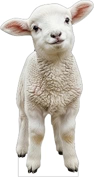 Baby Lamb 2FT Life Size Cardboard Cutout, Farm Animal Standup, Safari Decor, A Cute Standup for Baby Shower, Kids Birthday, Jungle Party, Photo Prop, 1PC