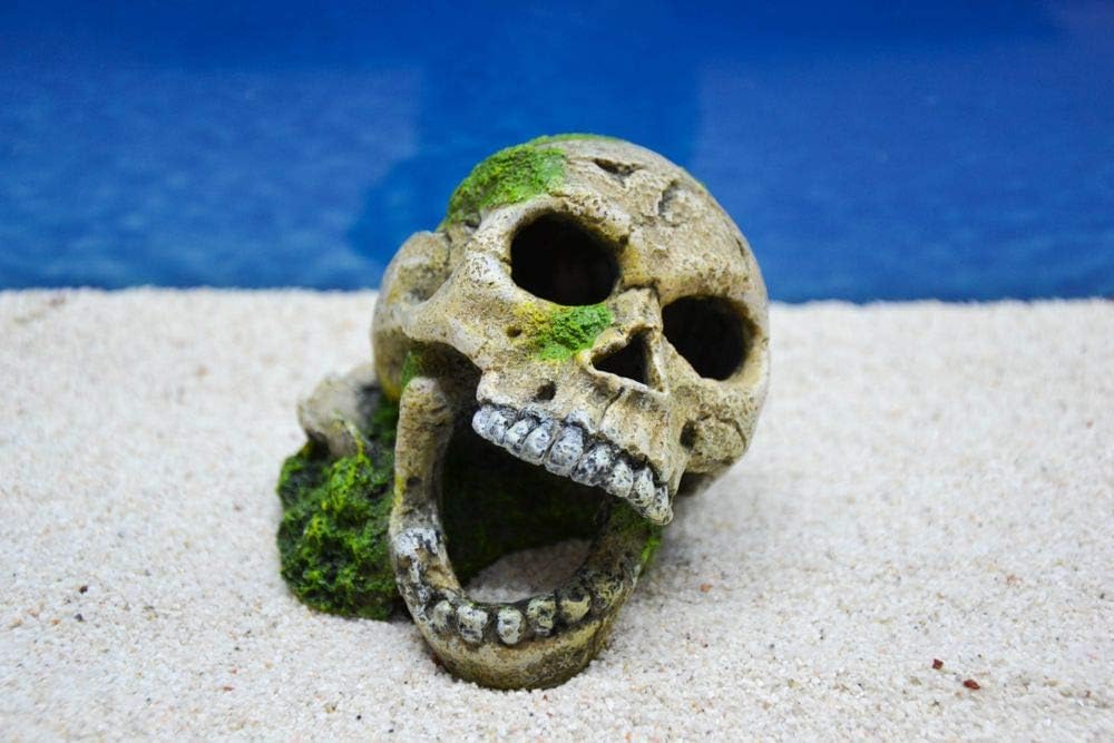 Amtra Totenkopf mit Moos, Aquarium-Dekoration, Miniatur-Dekofigur, Aquarium-Zubehör, Fische, Garnelen, Terrarium Amtra Totenkopf mit Moos, Aquarium-Dekoration, Miniatur-Dekofigur, Aquarium-Zubehör, Fische, Garnelen, Terrarium