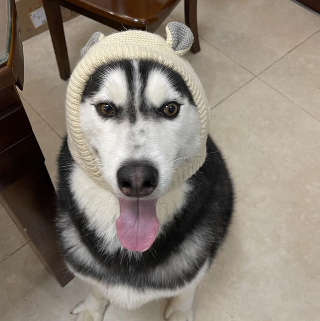 Leconpet Dog Hat Winter Warm Ears for Dogs, Quiet Ears for Dogs, Dog Ear Muffs for Cold Weather, Pet Ears Knit Hat for Medium Large Dogs Noise Protection, Cute Animal Headwear (Beige)