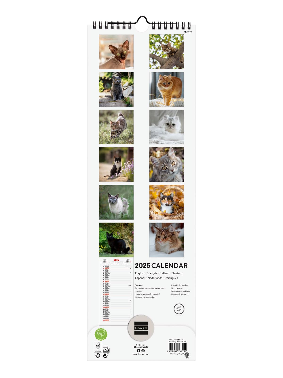 2025 Desktop Calendar - International Cats Theme With Multi-Language Month View